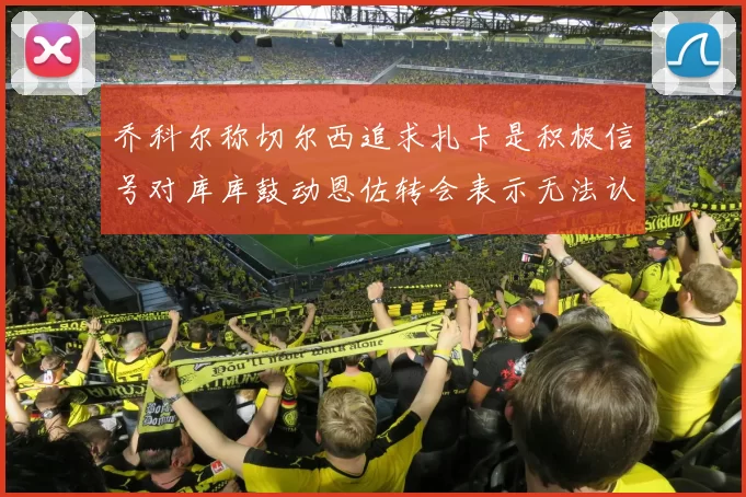 乔科尔称切尔西追求扎卡是积极信号对库库鼓动恩佐转会表示无法认同