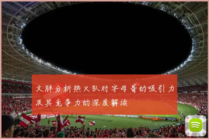 文胖分析热火队对字母哥的吸引力及其竞争力的深度解读