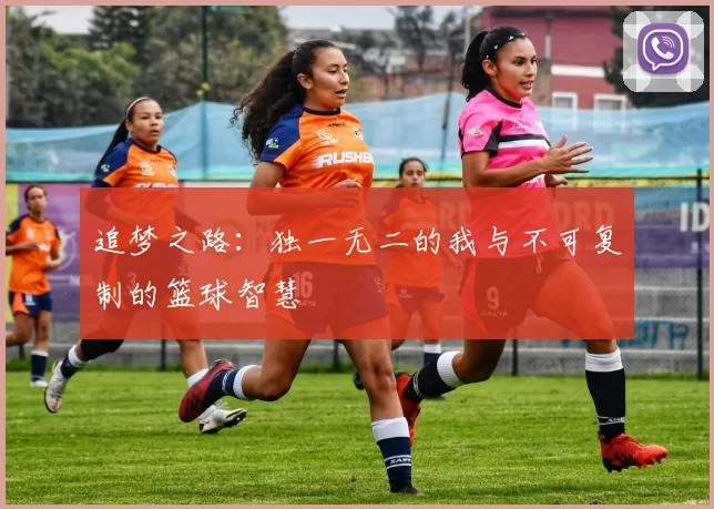 追梦之路：独一无二的我与不可复制的篮球智慧